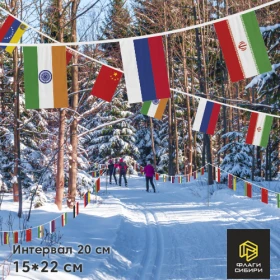 Гирлянда "Флажки стран", 15*22см, шаг 20см (3 флага на 1мп)