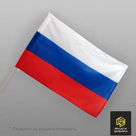 Флаг России 50*75 см (Флажная сетка)