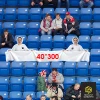 Растяжка 40*300 см