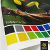 Таффета 70 г/м
